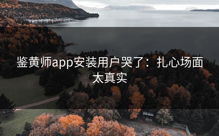 鉴黄师app安装用户哭了：扎心场面太真实