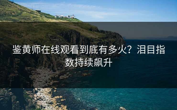 鉴黄师在线观看到底有多火？泪目指数持续飙升