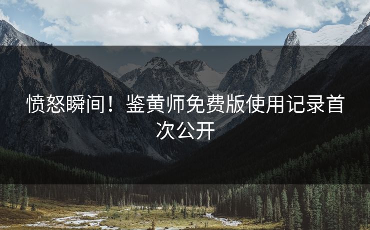 愤怒瞬间！鉴黄师免费版使用记录首次公开