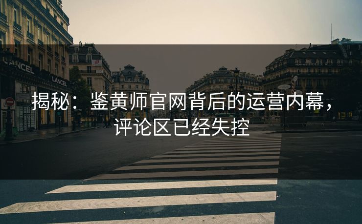 揭秘：鉴黄师官网背后的运营内幕，评论区已经失控