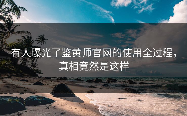 有人曝光了鉴黄师官网的使用全过程，真相竟然是这样