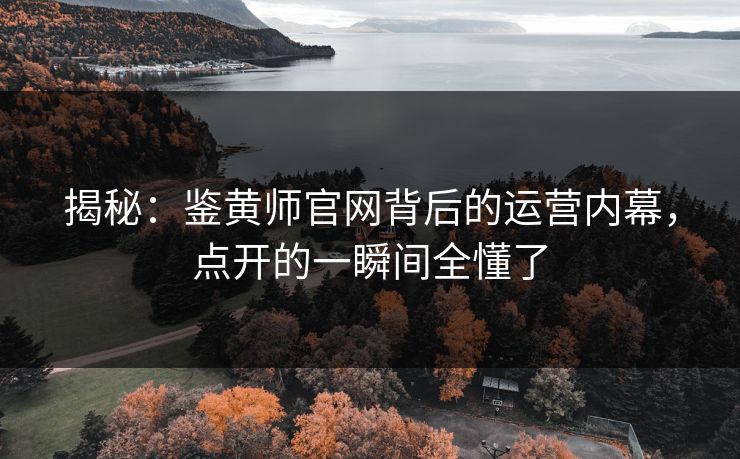 揭秘：鉴黄师官网背后的运营内幕，点开的一瞬间全懂了