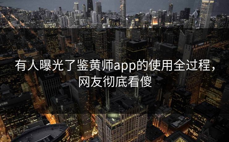 有人曝光了鉴黄师app的使用全过程，网友彻底看傻