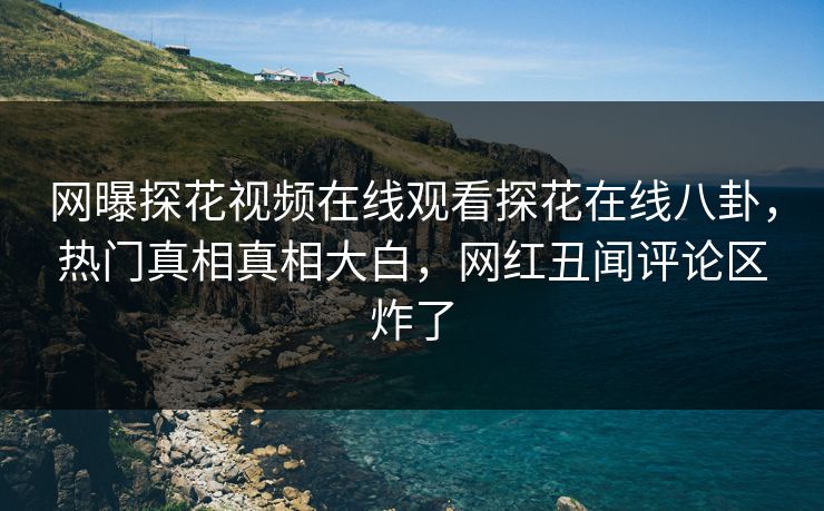 网曝探花视频在线观看探花在线八卦，热门真相真相大白，网红丑闻评论区炸了