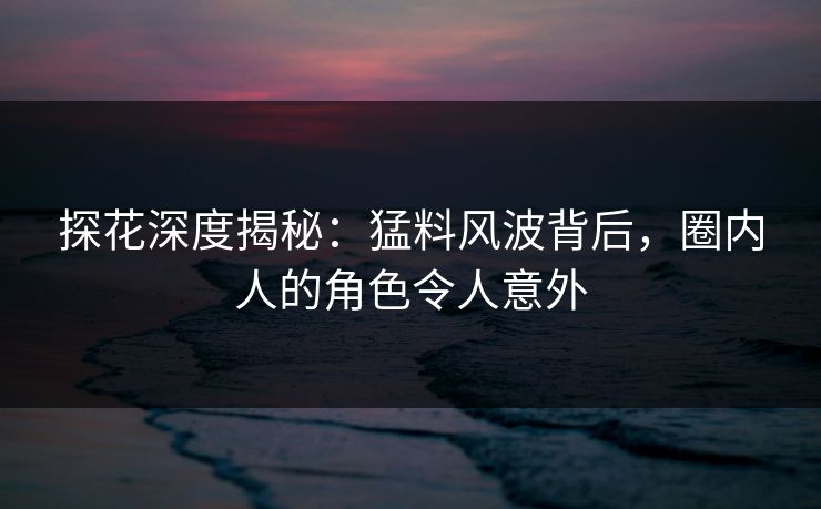 探花深度揭秘：猛料风波背后，圈内人的角色令人意外
