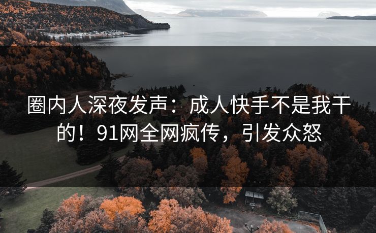 圈内人深夜发声：成人快手不是我干的！91网全网疯传，引发众怒