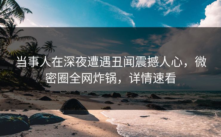 当事人在深夜遭遇丑闻震撼人心，微密圈全网炸锅，详情速看
