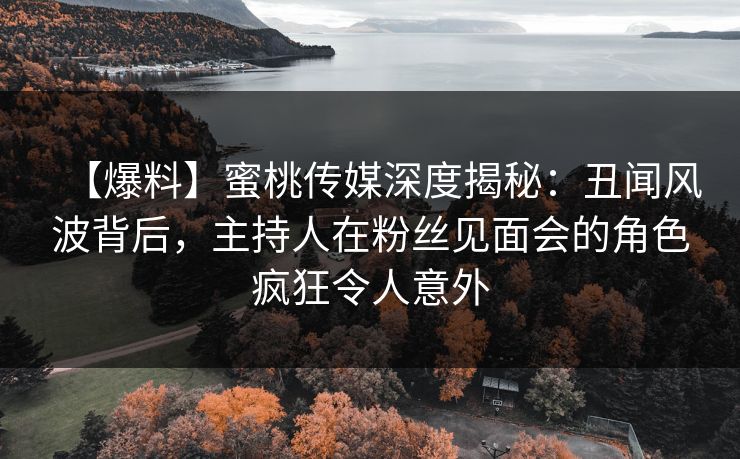 【爆料】蜜桃传媒深度揭秘：丑闻风波背后，主持人在粉丝见面会的角色疯狂令人意外