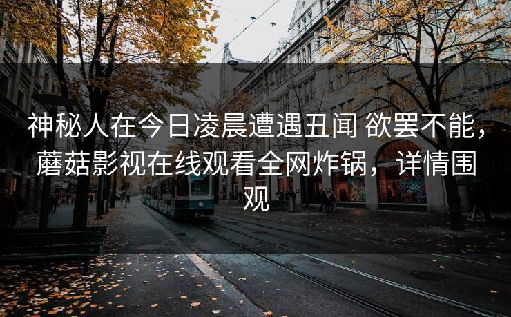 神秘人在今日凌晨遭遇丑闻 欲罢不能,蘑菇影视在线观看全网炸锅,详情围观 神秘人在今日凌晨遭遇丑闻 欲罢不能,蘑菇影视在线观看全网炸锅,详情围观